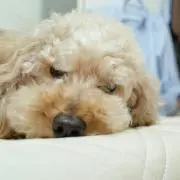 KHAKIの画像