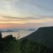Koni
