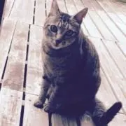 たろう