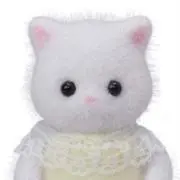 矯正中の画像
