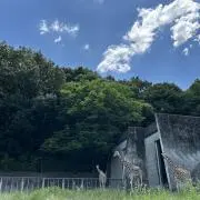 You
