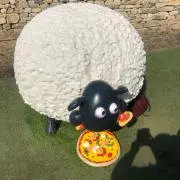 ソラ