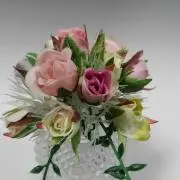 なでしこの画像