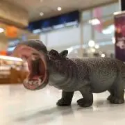 ポカパンプキン