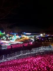 Masaの画像