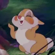 Rollingの画像