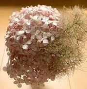 mimiの画像