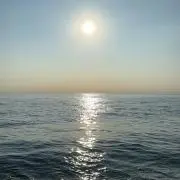 seaちゃん