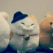 なの画像
