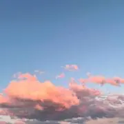 モコ