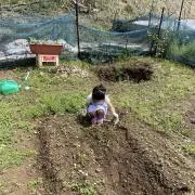 きみちゃん