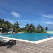 maronの画像