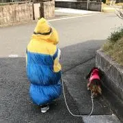 みどちん