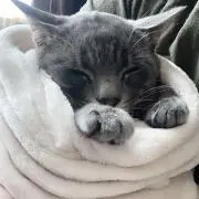 みーさん33