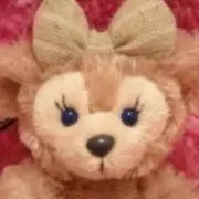 シェリーメィ