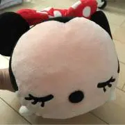 puri321