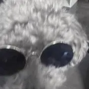 koma