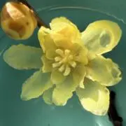 Nanaoの画像