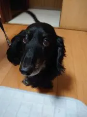 minpi