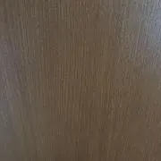 クマの画像