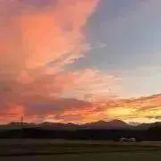 たるの画像