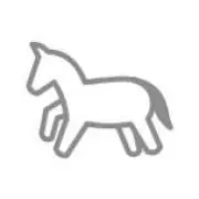 犬の画像