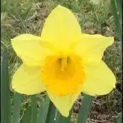 うしとむら