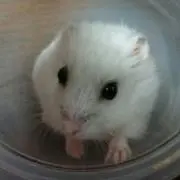 すみっこ暮らし