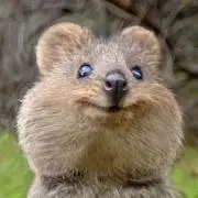 さちの画像