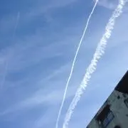 ニクキュウの画像