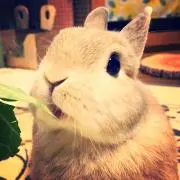 ＊はなちゃん＊