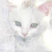 LuvckDの画像