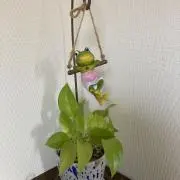 elmoの画像