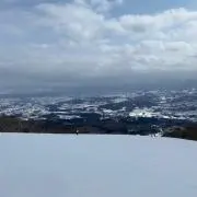 肉じゃが