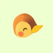 ちゃんの画像
