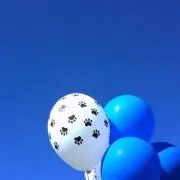 ライオン