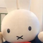 みみちゃんの画像