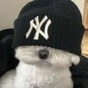 ズの画像