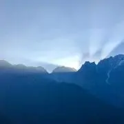 おさむしの画像