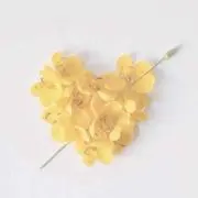 hii
