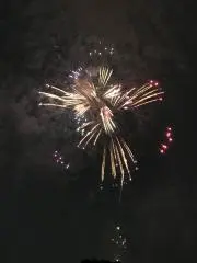 ナルの画像