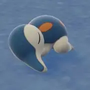 sky Winterの画像