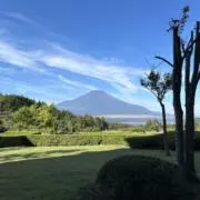 だんしゃりの画像