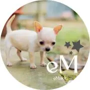 ★emakkの画像