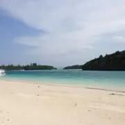 piroの画像