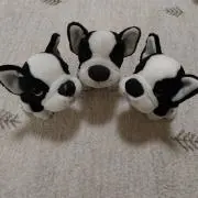 ぶる＆こぶる＆ち~ぶるの画像
