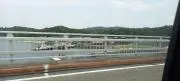 当日昼まで購入即日発送の画像