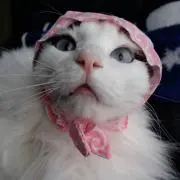 メロン