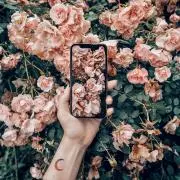 craftfloralの画像
