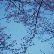 まるまるの画像